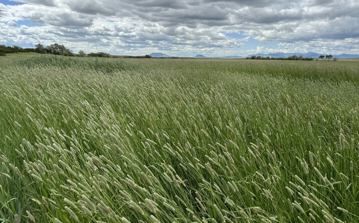 Pictures of Land property located at 5050 Cutbank Creek Rd, Geraldine, MT 59446 for sales - image #1
