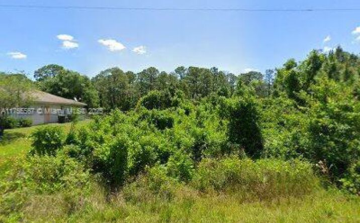 Pictures of Special Purpose property located at 1231 Van Buren St, Lake Placid, FL 33852 for sales - image #1