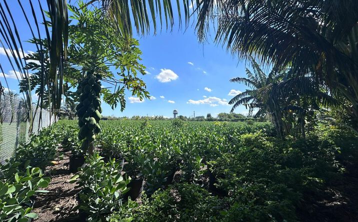 Pictures of Special Purpose property located at 12250 SW 194 Ave, Miami, FL 33196 for sales - image #1