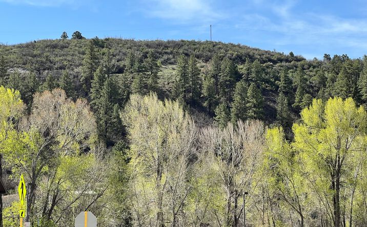 Pictures of Land property located at 901 Railroad Ave, Dolores, CO 81323 for sales - image #1