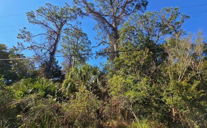 Pictures of Land property located at TBD-000 NE 127th Ln, Branford, FL 32008 for sales - image #1