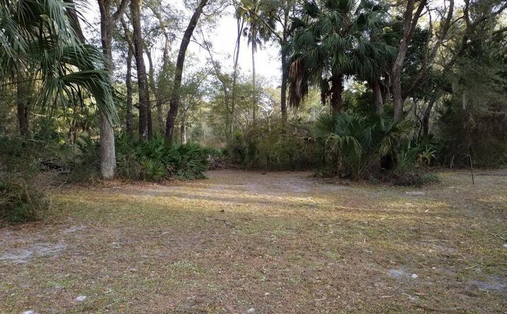 Pictures of Land property located at LOT 12 NW 70th Cir, Chiefland, FL 32626 for sales - image #1
