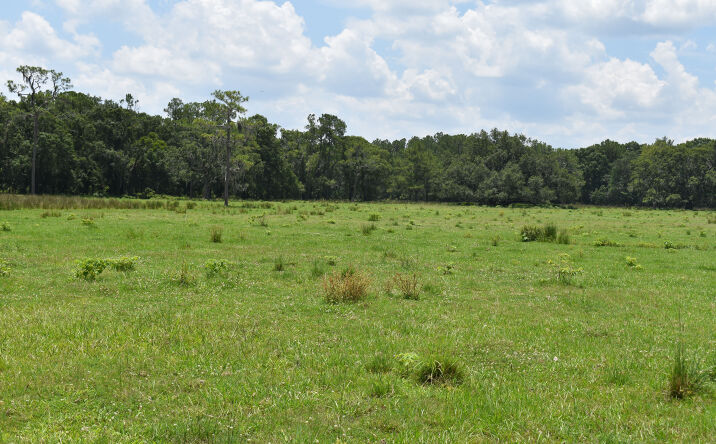 Pictures of Land property located at Address Disclosed, Groveland, FL 34736 for sales - image #1