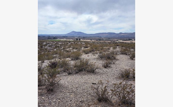 Pictures of Land property located at 6901 Del Rey Blvd, Las Cruces, NM 88012 for sales - image #1