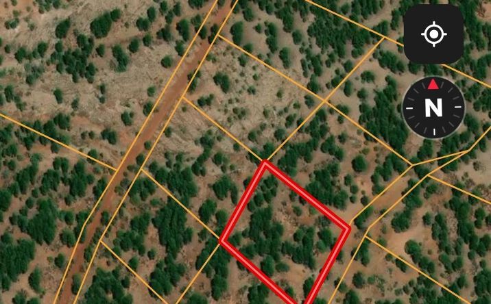 Pictures of Land property located at Lot 24G Mcgaffey Pines, Mcgaffey, NM 87316 for sales - image #1