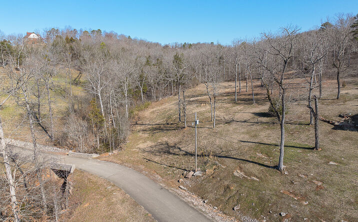 Pictures of Land property located at 00 Riverbend Ln Lot 79, Bath Springs, TN 38311 for sales - image #1