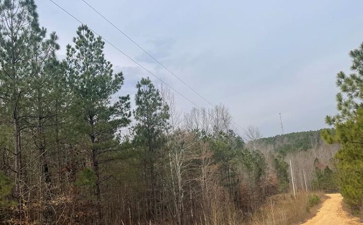 Pictures of Land property located at 0 Falcon View Rd, Cedar Grove, TN 38321 for sales - image #1