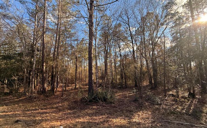 Pictures of Land, Multifamily property located at 0 West Union Rd Parcel A, Carriere, MS 39426 for sales - image #1