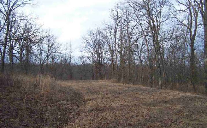 Pictures of Land property located at Lots 1664-1666 Baldwin, Edwards, MO 65326 for sales - image #1