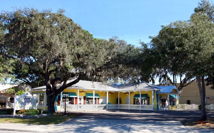 Pictures of Retail property located at 3407 Lithia Pinecrest Rd, Valrico, FL 33596 for sales - image #1