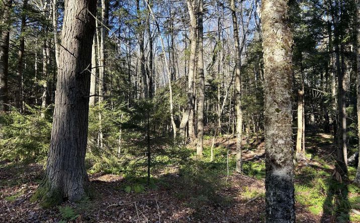 Pictures of Land property located at 0 U.S. Route 4, Killington, VT 05751 for sales - image #1