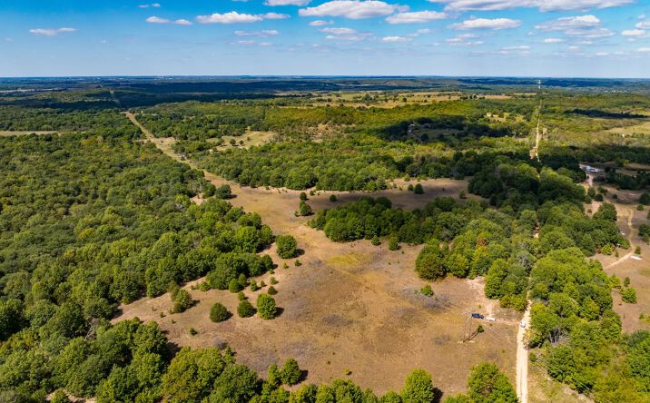 Pictures of Land property located at E1140 Rd, Weleetka, OK 74880 for sales - image #1