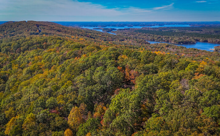 Pictures of Land property located at 2274 Sierra Trace Rd, Denton, NC 27239 for sales - image #1