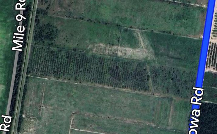 Pictures of Land property located at 22420 Iowa Street, Mission, TX 78574 for sales - image #1