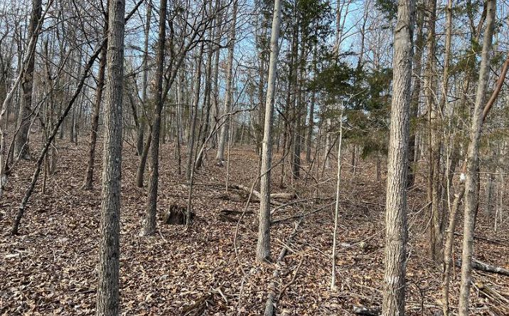 Pictures of Land property located at 2371 - B, Thayer, MO 65791 for sales - image #1