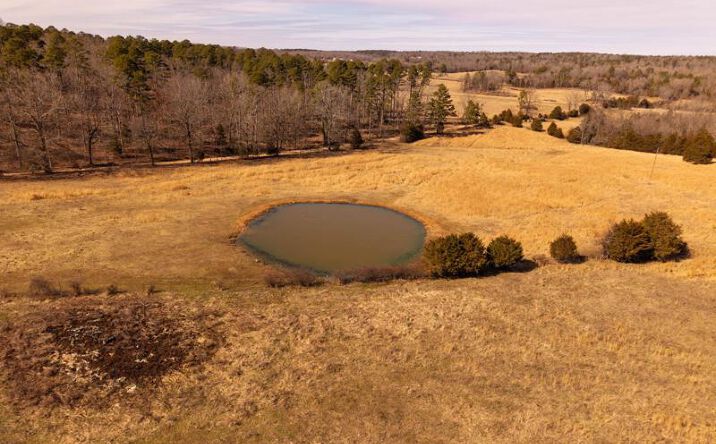 Pictures of Land property located at 2290 Co Rd 147, Alton, MO 65606 for sales - image #1