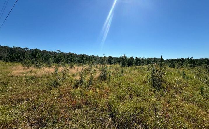 Pictures of Land property located at 00 SW 50th Ave, Bell, FL 32619 for sales - image #1