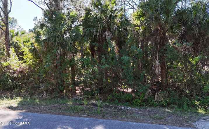 Pictures of Land property located at 0 Fan Palm Avenue, Cocoa, FL 32927 for sales - image #1