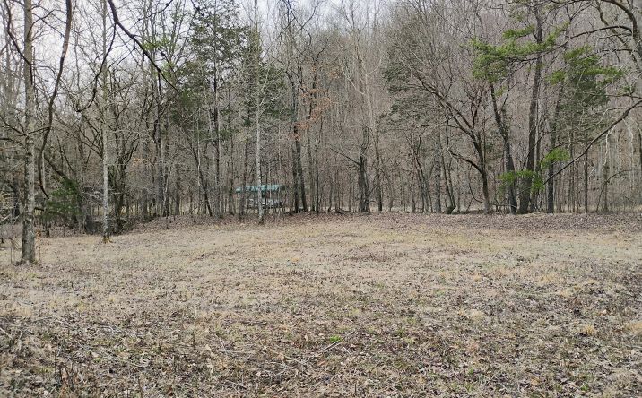 Pictures of Land property located at 0 Sewell Branch Road, Clifton, TN 38425 for sales - image #1