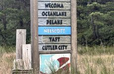 22204226