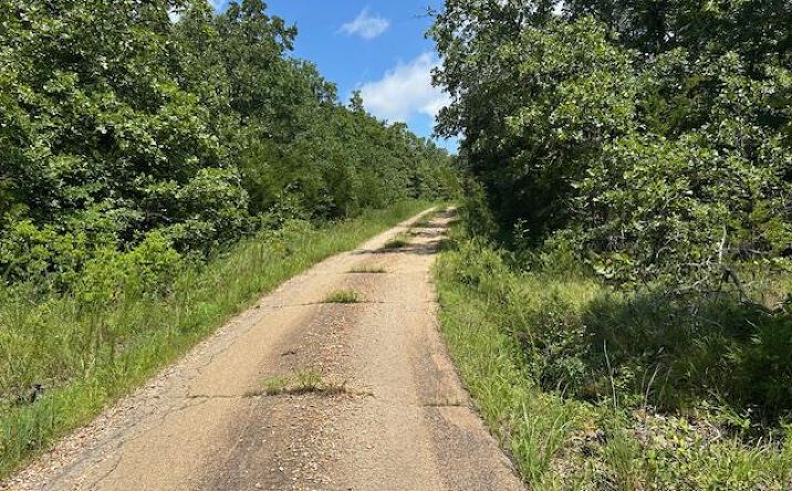 Pictures of Land property located at 1 Private Rd. 9516, Fredericktown, MO 63645 for sales - image #1