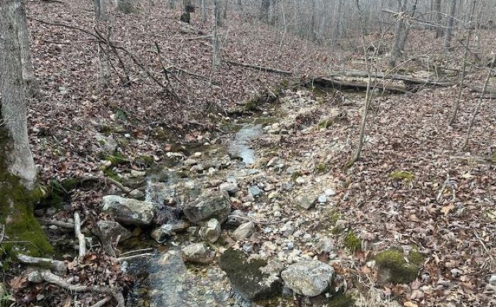 Pictures of Land property located at 0 Private Rd. 9516, Fredericktown, MO 63645 for sales - image #1