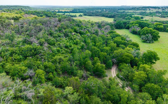Pictures of Land property located at 8077 CR 292, Early, TX 76802 for sales - image #1