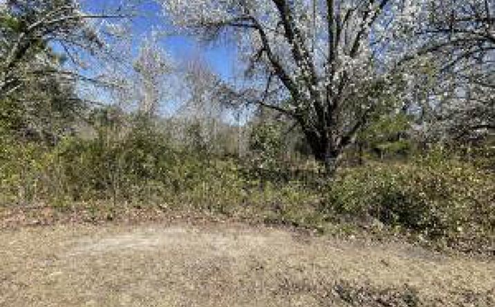 Pictures of Land property located at 415 Forest Circle, New Ellenton, SC 29809 for sales - image #1