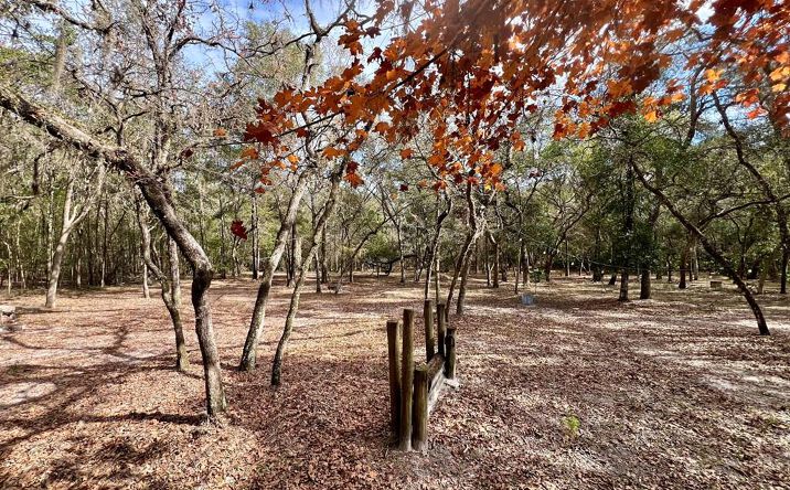 Pictures of Land property located at 1113 SW Langelier Dr., Ft. White, FL 32038 for sales - image #1