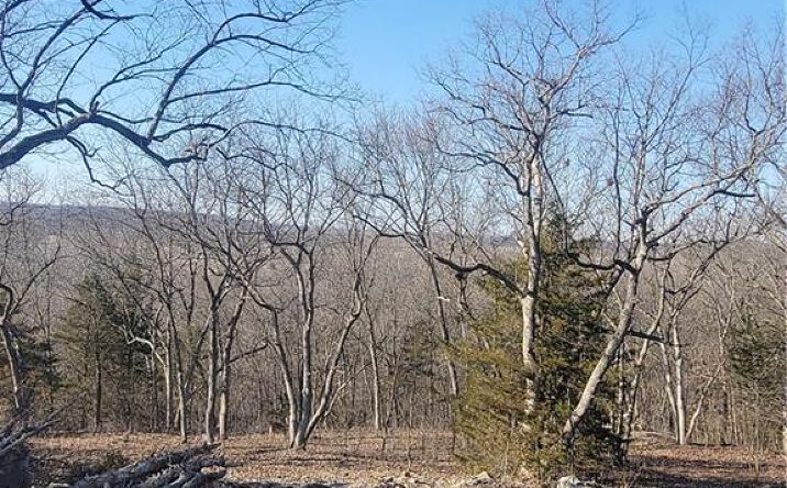 Pictures of Land, Special Purpose property located at 33 E Ridgewood Circle, Linn Valley, KS 66040 for sales - image #1