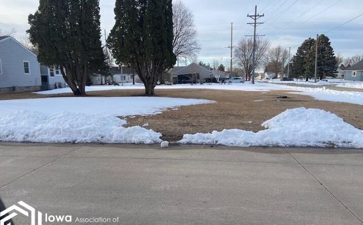 Pictures of Land property located at 185 6Th Street SW, Britt, IA 50423 for sales - image #1