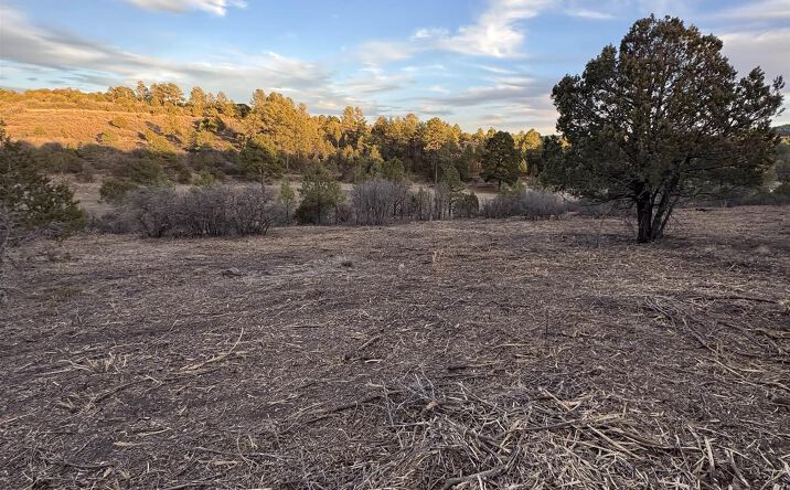 Pictures of Land property located at 165 Eldrado Dr Drives, Timberon, NM 88350 for sales - image #1