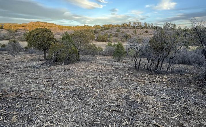 Pictures of Land property located at 169 Eldrado Dr Drive, Timberon, NM 88350 for sales - image #1