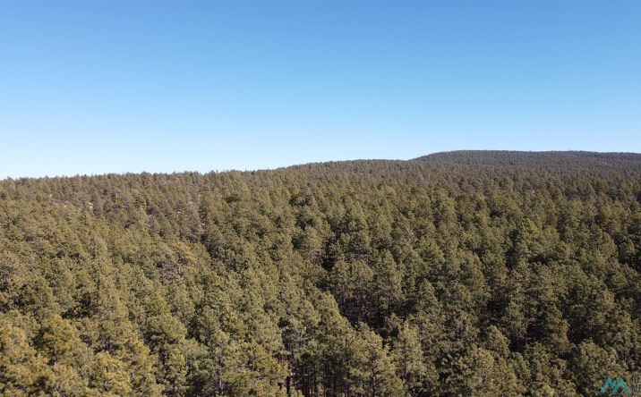 Pictures of Land property located at Lot 33B Mcgaffey Pines, Mcgaffey, NM 87316 for sales - image #1