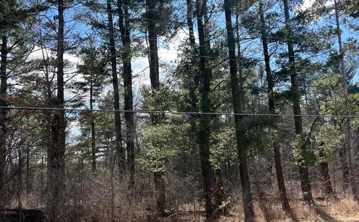 Pictures of Land property located at 6288 County Road 25, Cardington, OH 43315 for sales - image #1