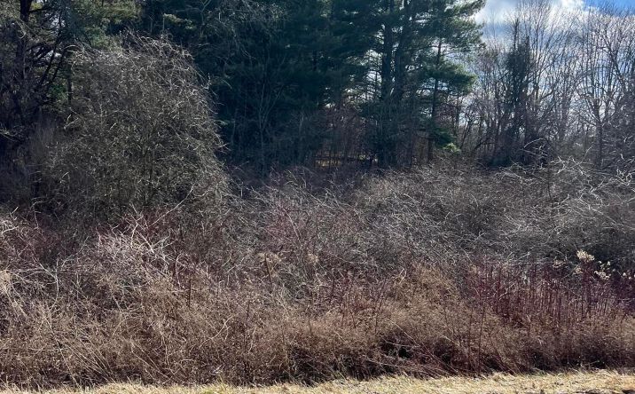Pictures of Land property located at 6288 County Road 25, Cardington, OH 43315 for sales - image #1