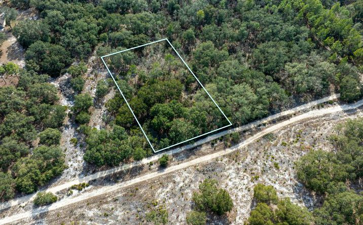 Pictures of Land property located at NE 90th St, Bronson, FL 32621 for sales - image #1