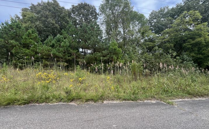 Pictures of Land, Multifamily property located at 53 Beaumont Drive, Jackson, TN 38305 for sales - image #1