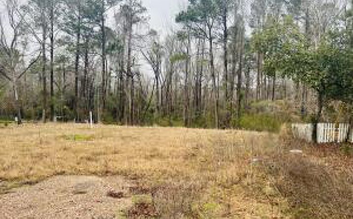 Pictures of Land property located at 00 Augusta Road, Warrenville, SC 29851 for sales - image #1