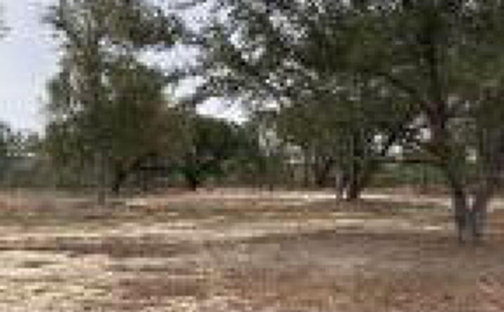 Pictures of Land property located at 00/Lot 69 Laughlin Loop, Aiken, SC 29805 for sales - image #1