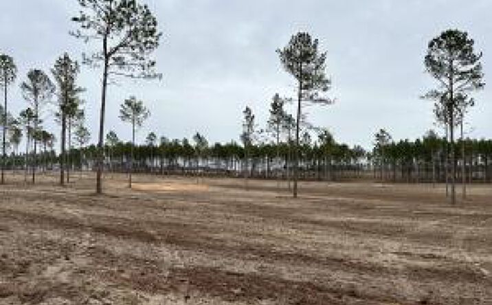 Pictures of Land property located at 00/Lot 39 Laughlin Loop, Aiken, SC 29805 for sales - image #1
