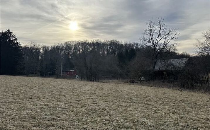 Pictures of Land property located at 286 Dally Rd, Coal Center, PA 15423 for sales - image #1
