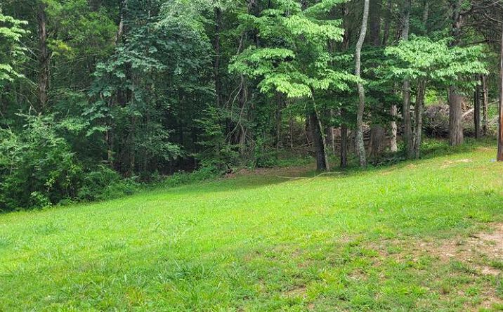 Pictures of Land property located at 452 The Trace, Dover, TN 37058 for sales - image #1