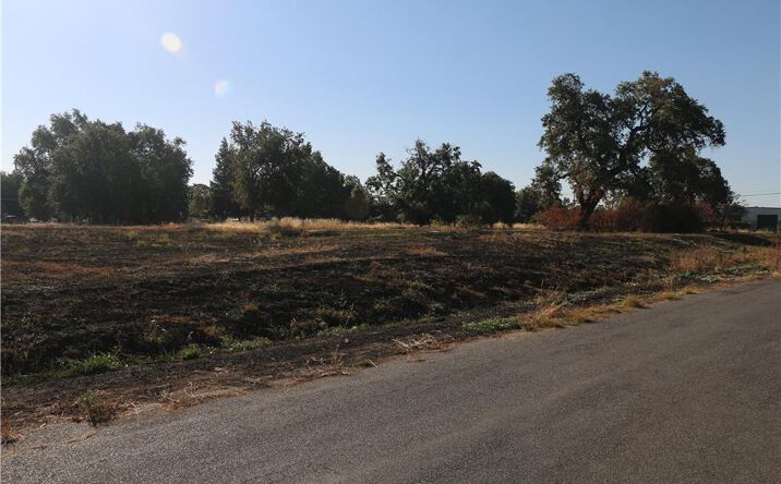 Pictures of Land property located at Walsh Ave, Hamilton City, CA 95951 for sales - image #1