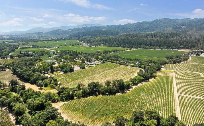 Pictures of Land property located at 1090 Bale Ln, Calistoga, CA 94515 for sales - image #1