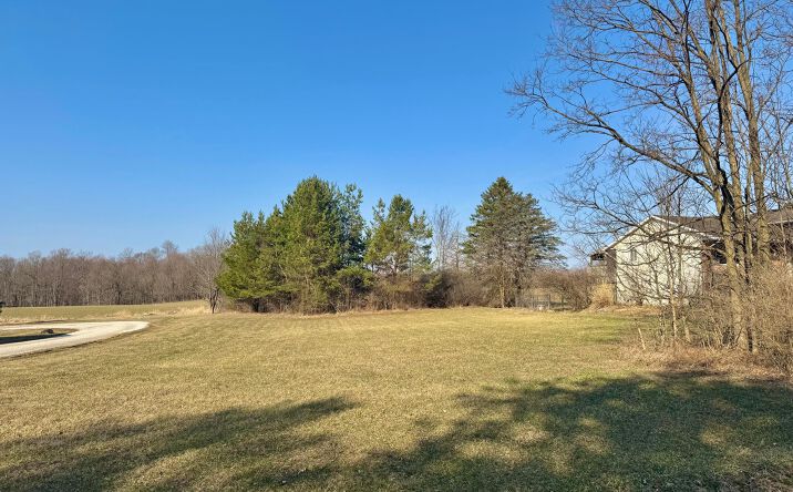 Pictures of Land property located at 0 Rudy Road, Mansfield, OH 44903 for sales - image #1
