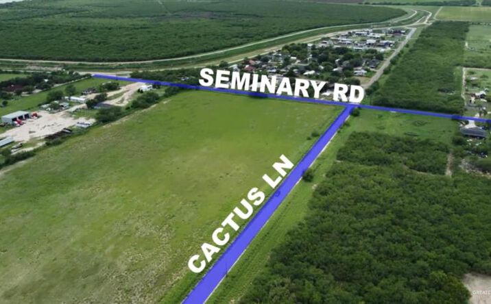 Pictures of Land property located at Seminary Road, Edinburg, TX 78542 for sales - image #1
