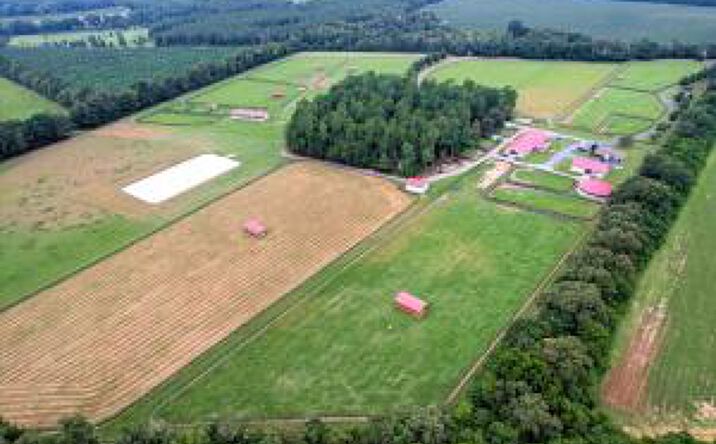 Pictures of Land property located at 5213 Charleston Highway, Williston, SC 29853 for sales - image #1