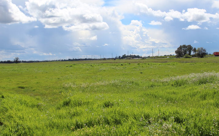 Pictures of Land property located at Dan Ave, Olivehurst, CA 95961 for sales - image #1