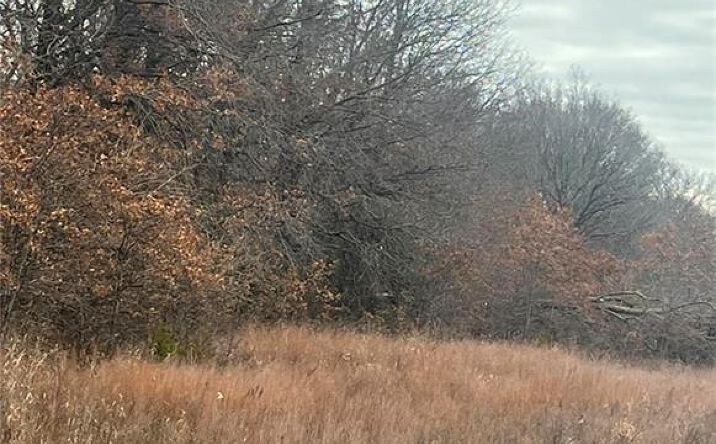 Pictures of Land property located at 0000 E 610th Avenue, Pittsburg, KS 66762 for sales - image #1